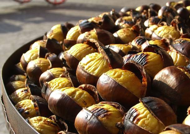 castagne-generica-491255.610x431