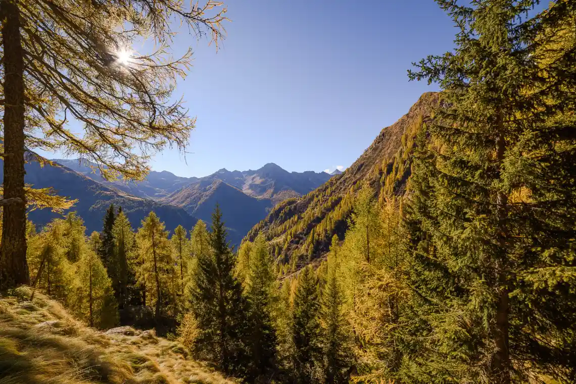 Un panorama della Val Belviso