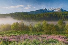 La Riserva Naturale di Pian Gembro in uno scatto di Elio Della Ferrera