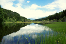 La Riserva Naturale di Pian Gembro 